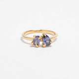 Gold ring with blue gemstones on a white background